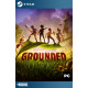 Grounded Steam [Account]
